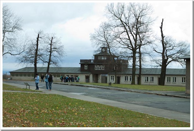 Buchenwald (2 von 9)